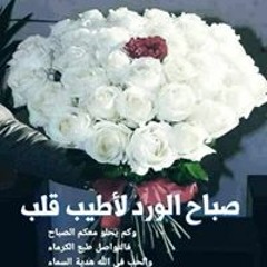 تيتا. أمال عبد. الشافى