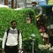 Roshan Thakur