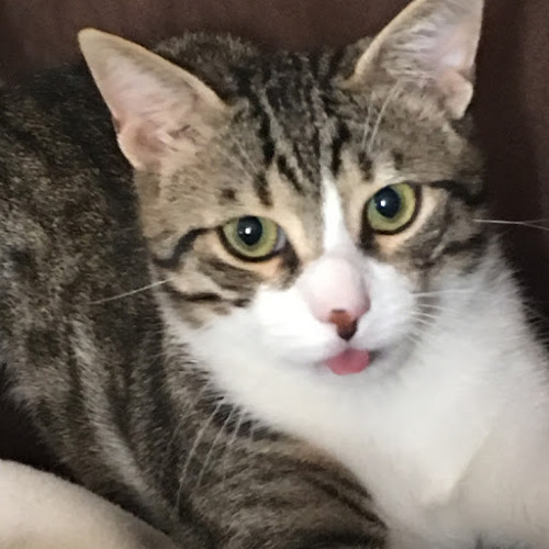 Stream Merve Akbulut Music Listen To Songs Albums Playlists For Free On Soundcloud