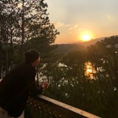 Hải Lê