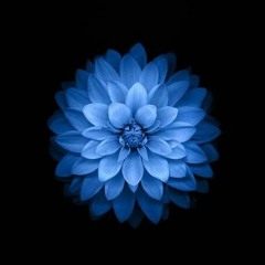 user190280341