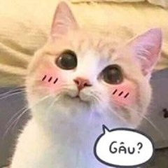 TrầnLộc