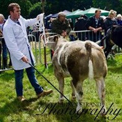 Taylor Allison Charlton