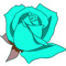 T Rosebud