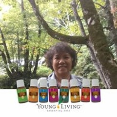 洪若琳