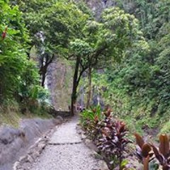 huri Dominique