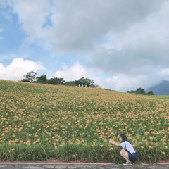陳晰
