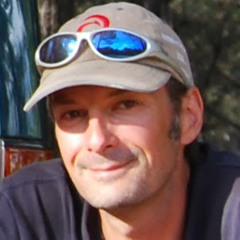 Ant