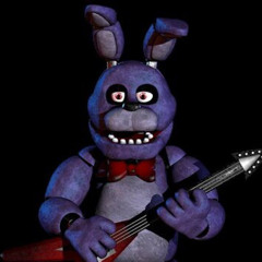 Mr. Bonnie 11