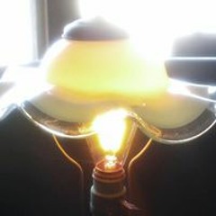 たかなが けんじ