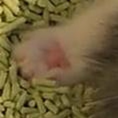 김양현