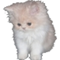 チャーシィCharsy