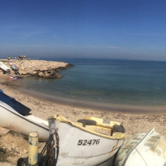 גיא אופיר