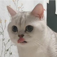 kmyyy