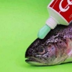 toothpaste fish