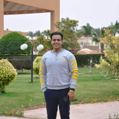 Remon karam
