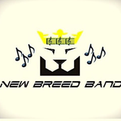 New Breed Band