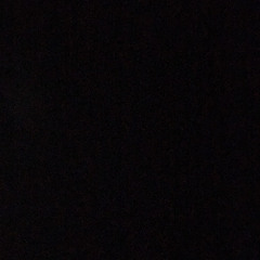 User 394032409