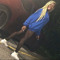 User 197361866