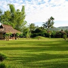 Van Chi