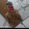dj DS de vila velha