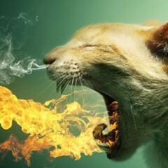 Артур Чаянов