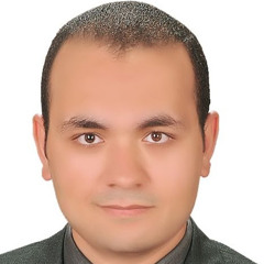 محمود غنيم