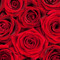 Rose Gallegos