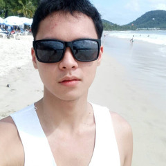 robert wijaya