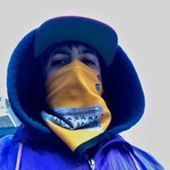 Ecco Silvestri Enrico