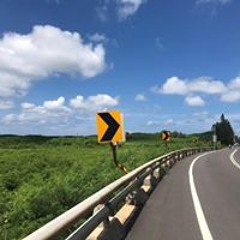 吳晨