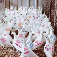 محمد وليد