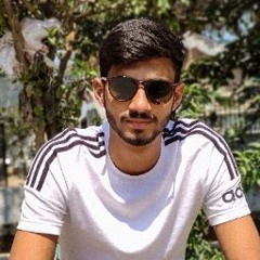 Ali Hamza