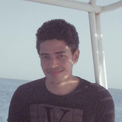 magdy Ziada