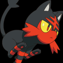 LittenKitten