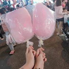Thỏ Thỏ