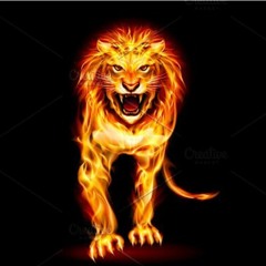 Lion Show
