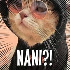 Nightcore - DECADE OF POP (Mashup) (Switching Vocals) (Adamusic)