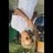 Farghd Mohamed