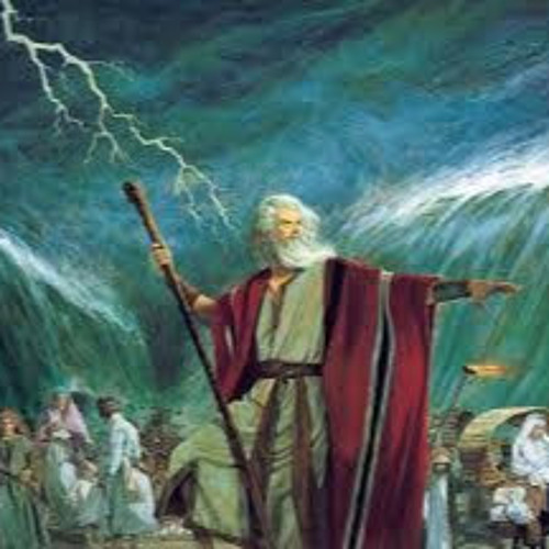 Moses Cookin’s avatar