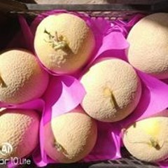 ايمن لضخرى