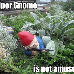 The Sniper Gnome