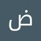 ضياء الدين