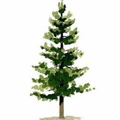 Tree Boi