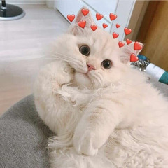 Tới Vũ