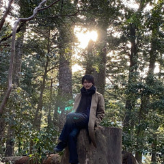 hikaru shimada