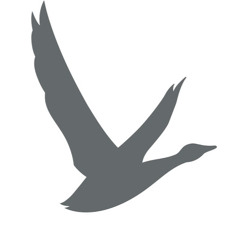 Vero