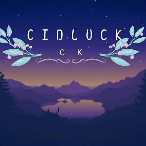 CIDLUCK’s avatar