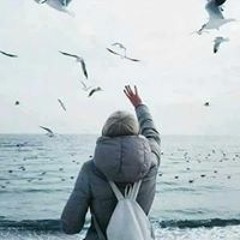 Heba Mohmed