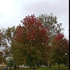 user761100716